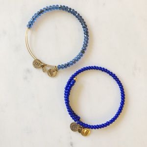 💙✨BLUE & GOLD ALEX AND ANI SET💙✨